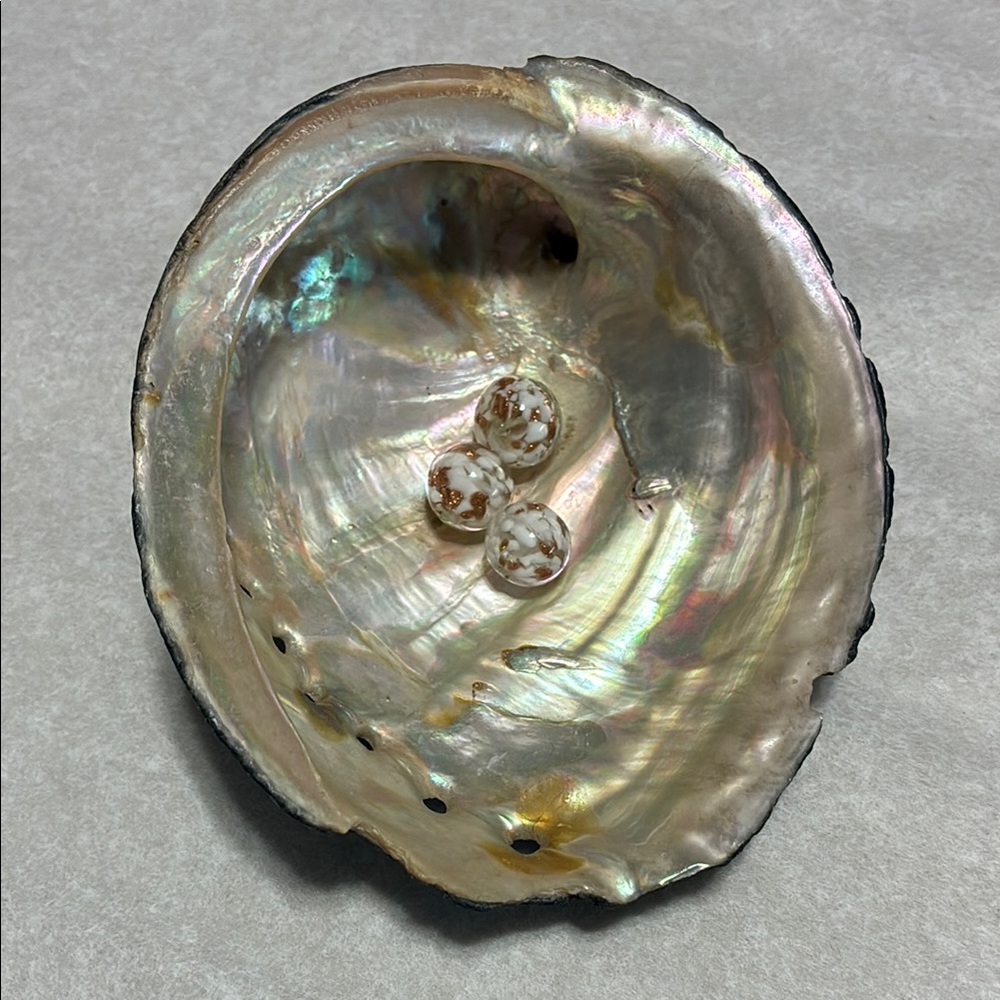 Iridescent Abalone Shell Jewelry SmudgeHolder